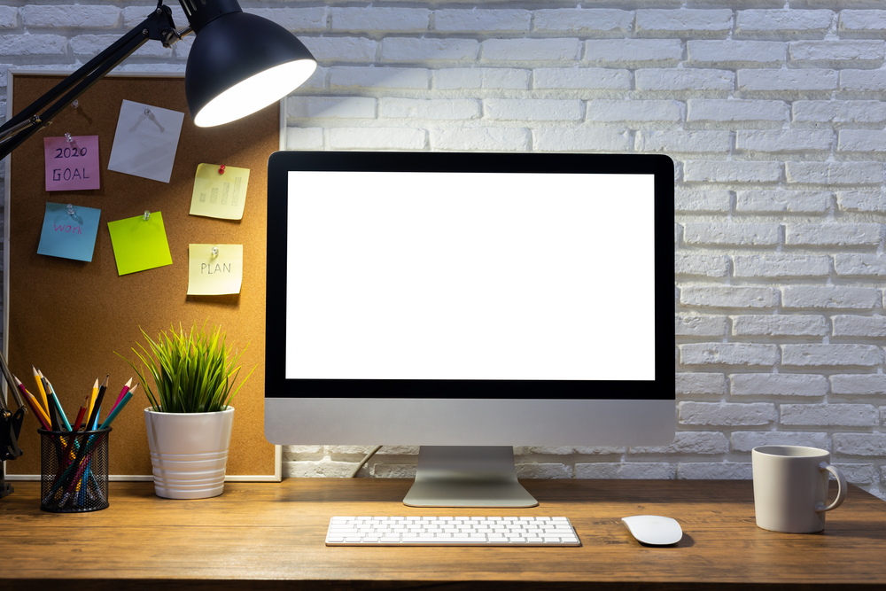 Professional web designer